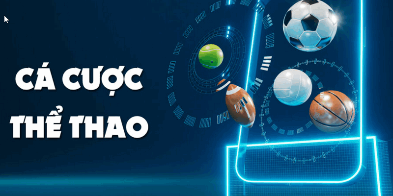 Theo dõi sát sao mọi thông tin, thay đổi để đặt cược hợp lý
